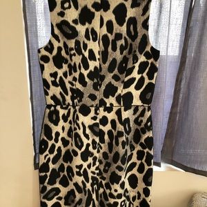 Ann Taylor dress